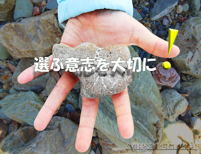 ̑Iѕ